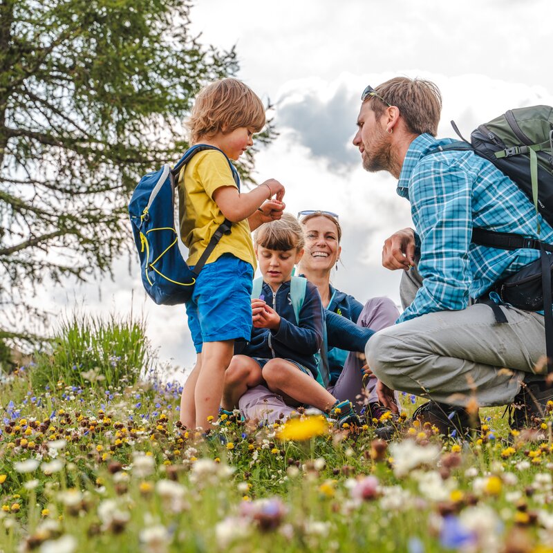 Passeggiate Per Famiglie